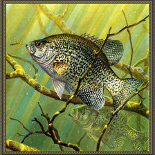 Схема вышивки «№2159739»