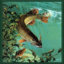 Схема вышивки «№2159746»