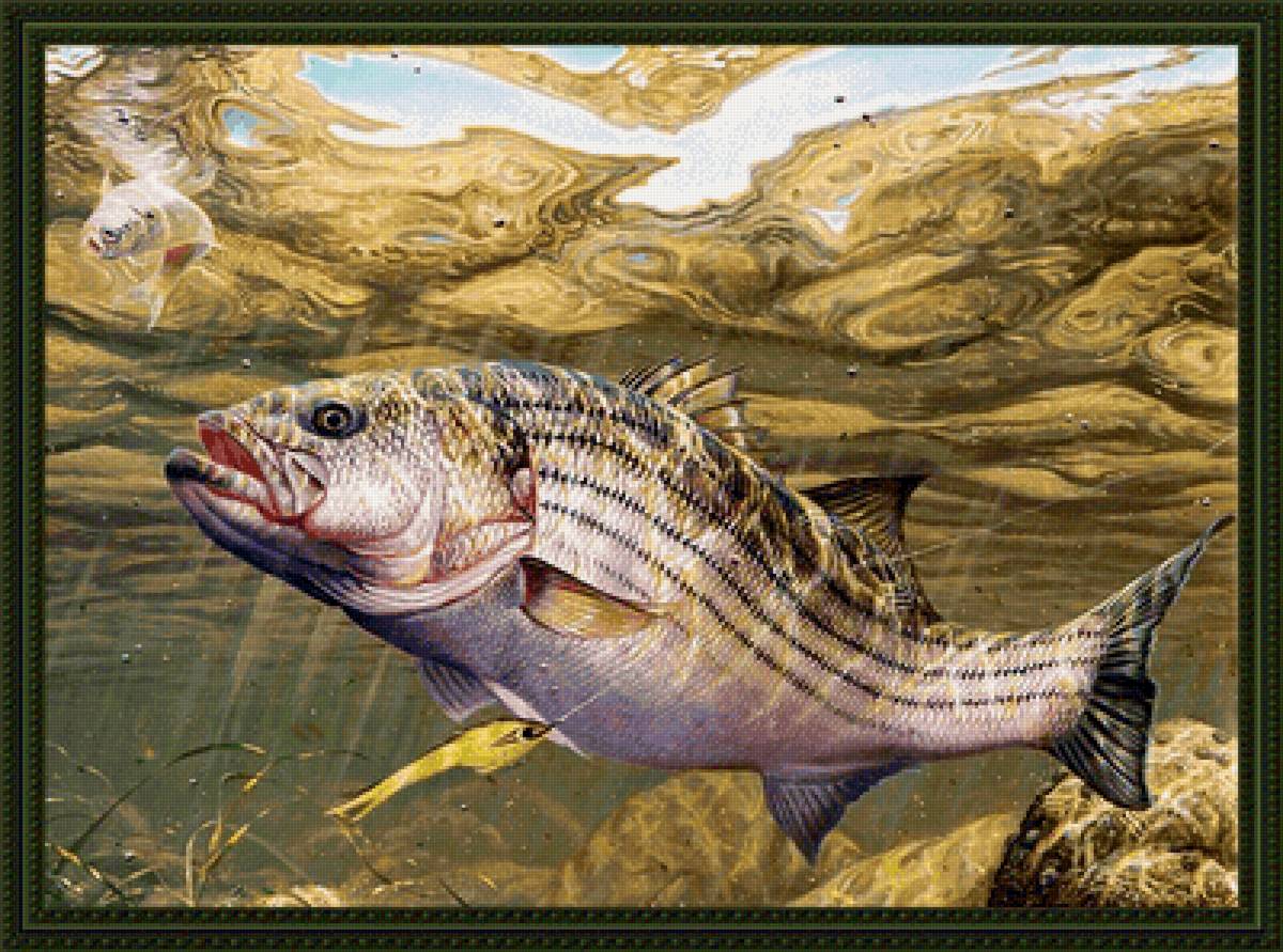 №2159749 - рыбалка, рыбы, подводный мир - предпросмотр