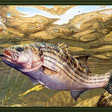 Схема вышивки «№2159749»