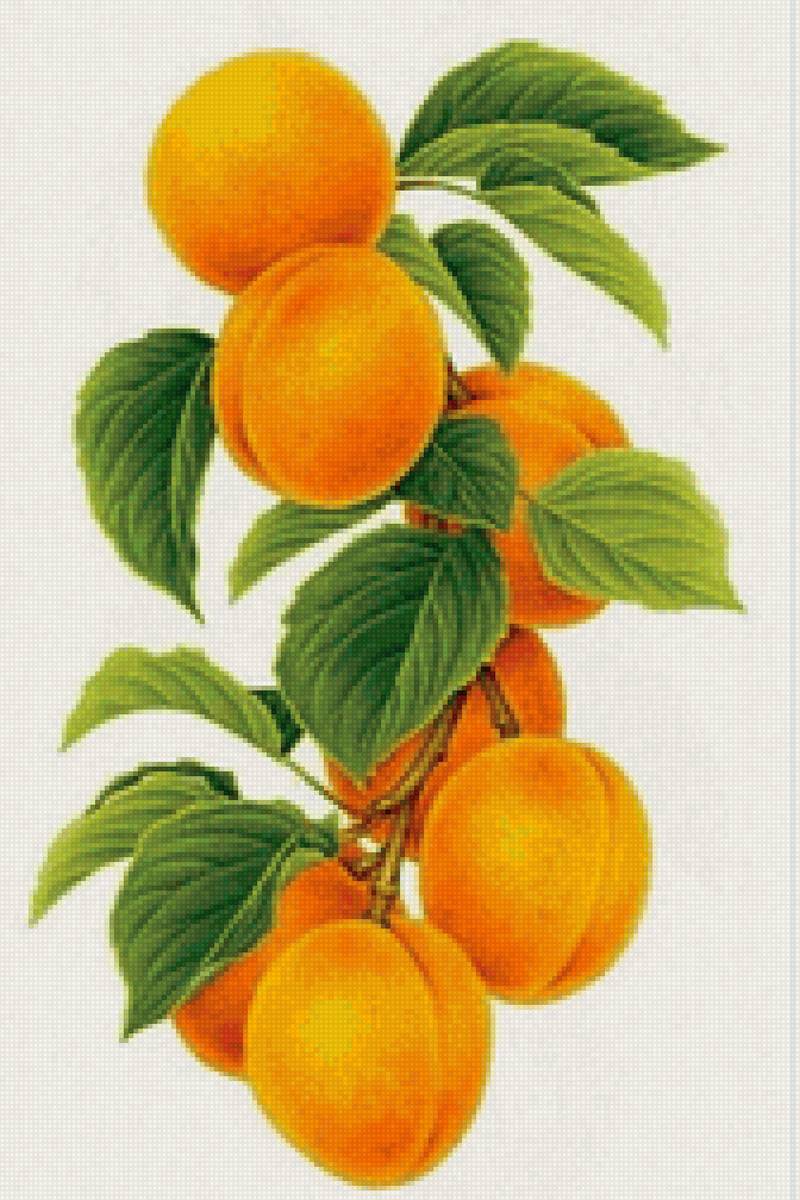 №2159870 - предпросмотр