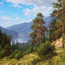 Схема вышивки «пейзаж, река»