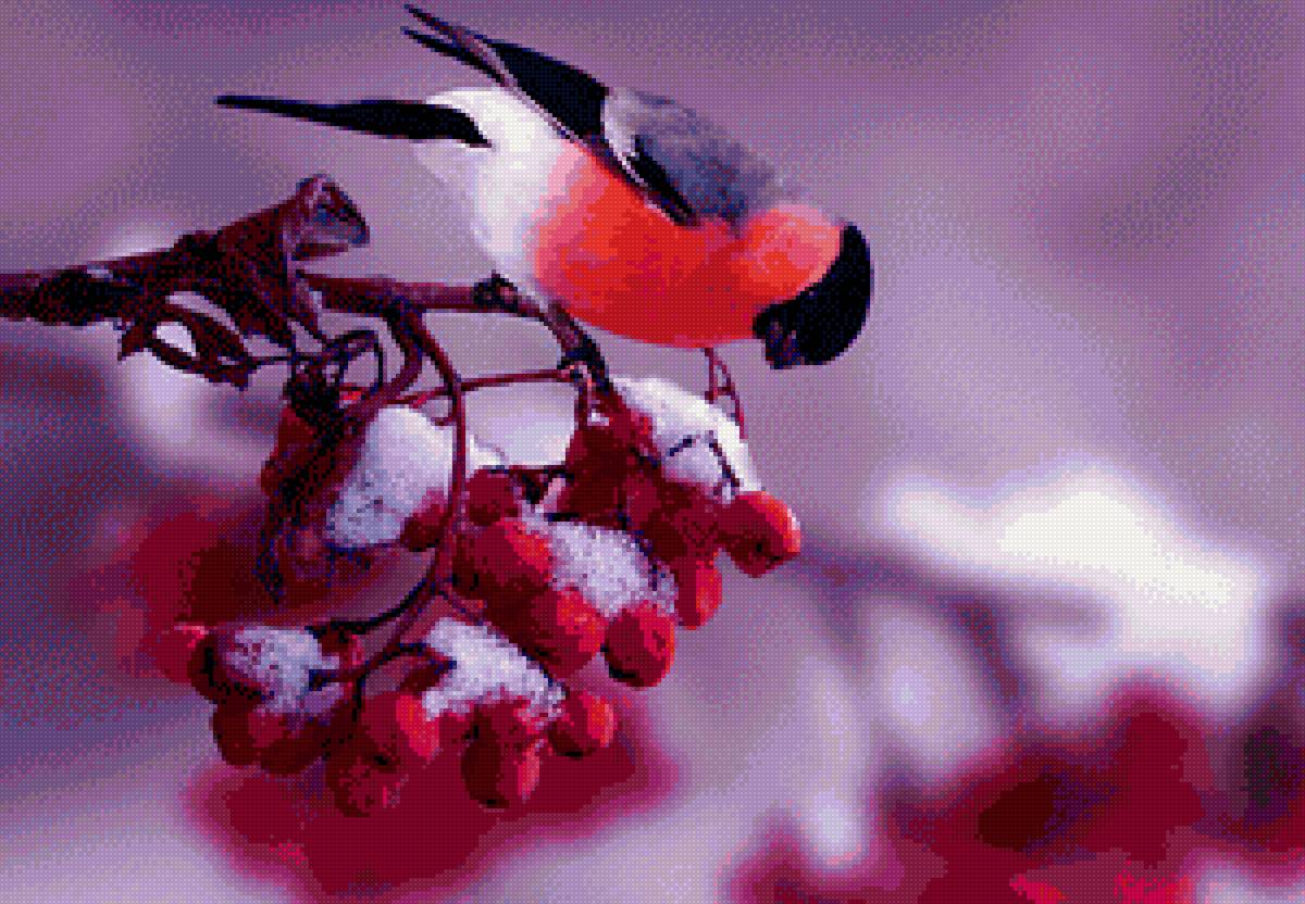 снегирь - предпросмотр