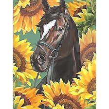 Схема вышивки «№2160020»