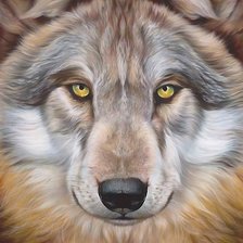 Схема вышивки «№2160111»