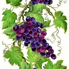 Схема вышивки «№2160120»