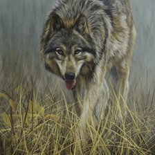 Схема вышивки «№2160149»