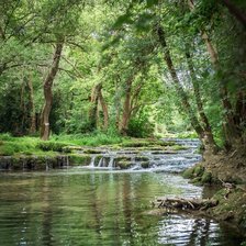 Схема вышивки «Лесной ручей с порогами»