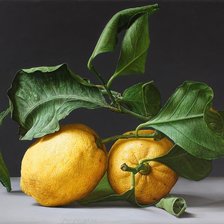 Схема вышивки «№2160212»