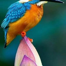 Схема вышивки «№2160340»