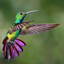 Схема вышивки «№2160343»