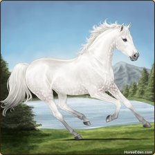 Схема вышивки «быстрее ветра»