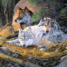 Схема вышивки «Чехословацкие волчьи собаки»