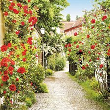 Схема вышивки «25»