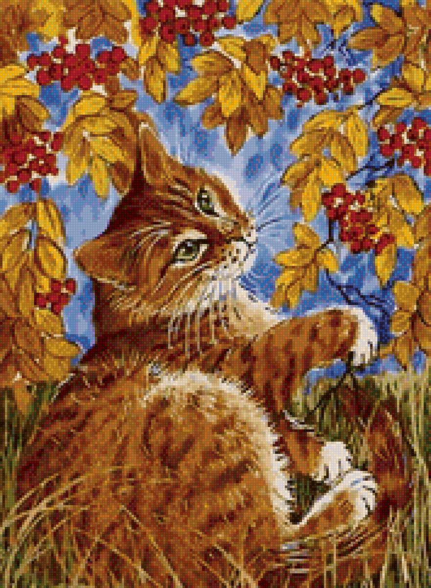 Рыжая осень - кот, рябина, осень - предпросмотр