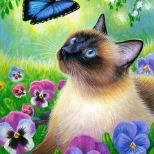 Схема вышивки «киса»