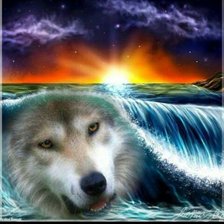 Схема вышивки «волк и море»