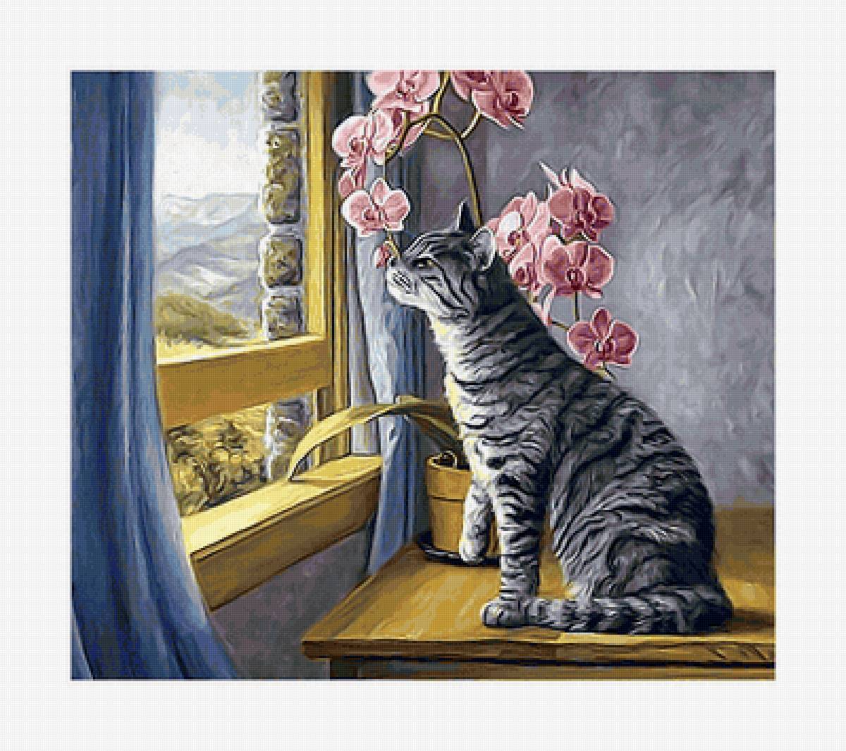 №2161089 - окно, орхидея, кот - предпросмотр