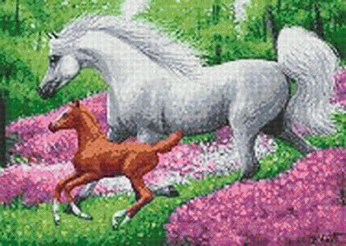 лошадь с жеребенком 2 - предпросмотр