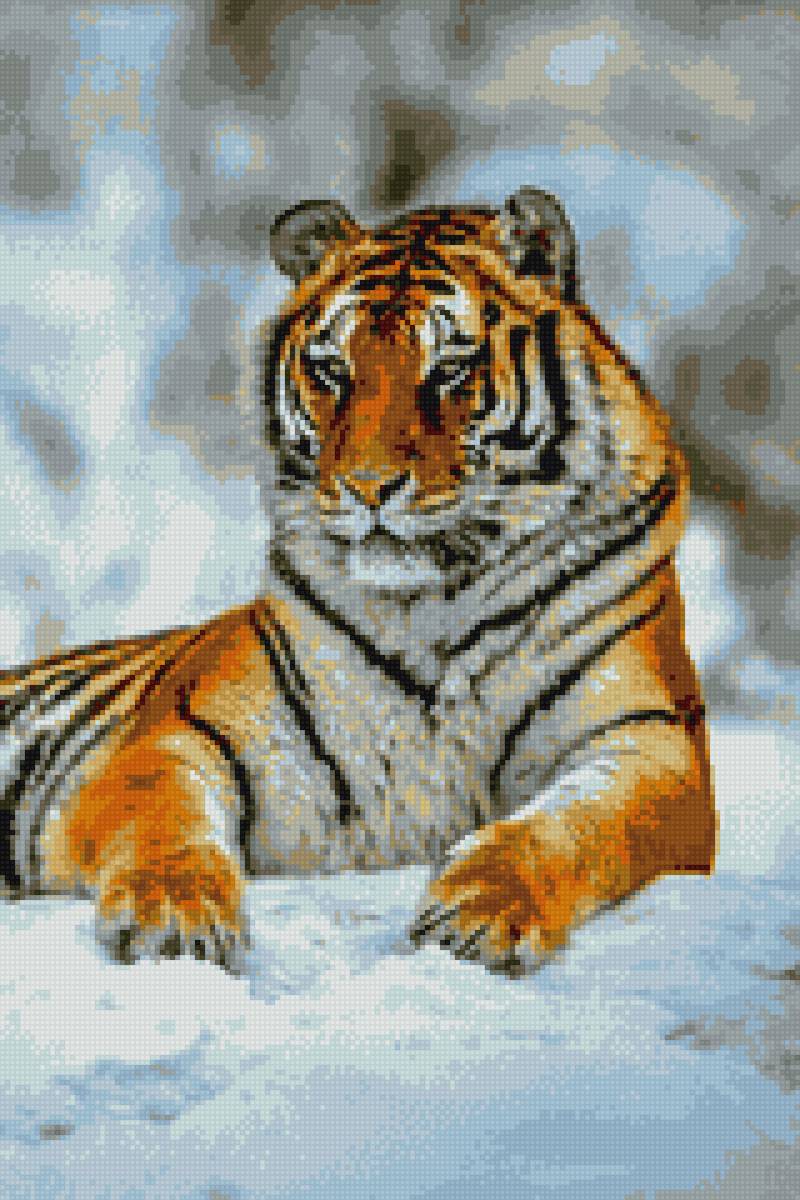 Тигр на снегу1 - дикая природа, животные, тигр - предпросмотр