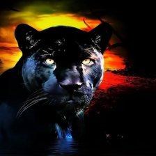 Схема вышивки «Пантера в закате»