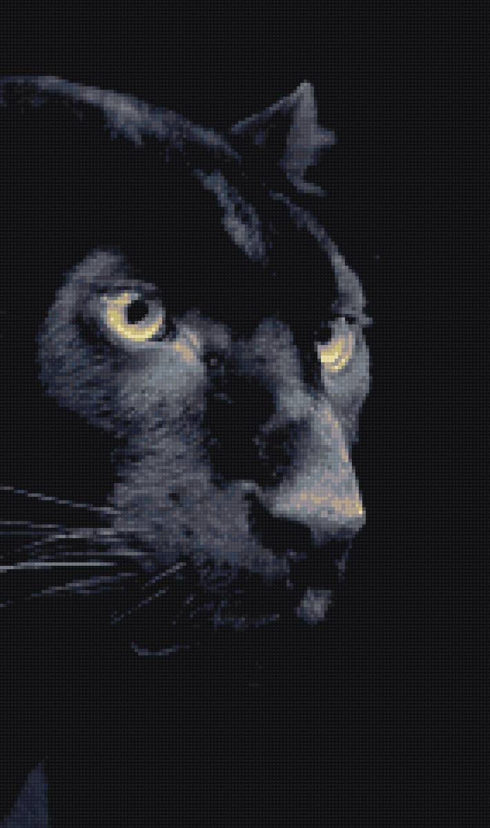 Пантера - животные, пантера, дикая природа - предпросмотр