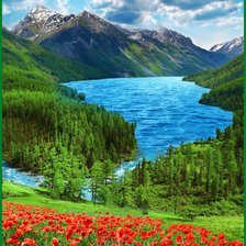 Схема вышивки «Природа»