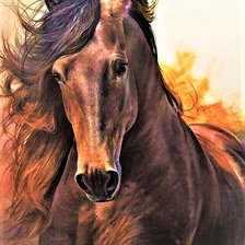 Схема вышивки «№2162117»