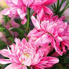 Схема вышивки «Хризантемы»