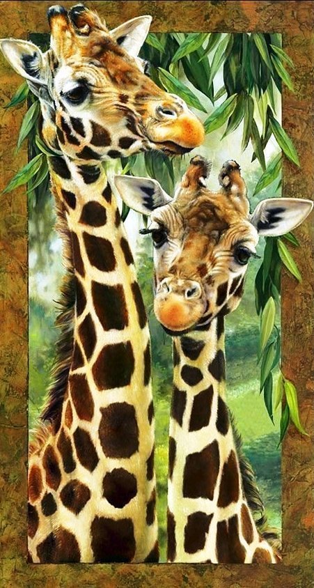 Жирафы - жираф, животные - оригинал