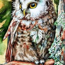 Схема вышивки «Филин»