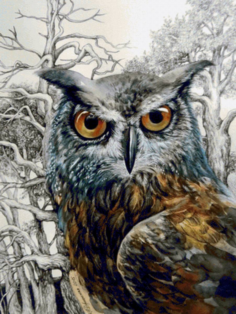 Филин - птицы, филин, дикие - предпросмотр