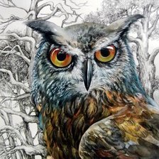 Схема вышивки «Филин»