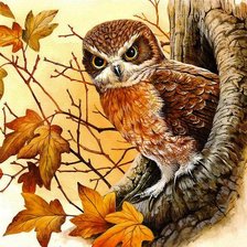 Схема вышивки «Сова»