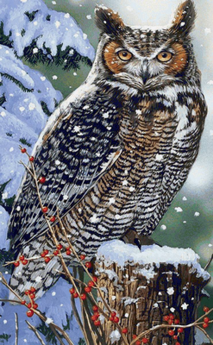 Филин - дикие, птицы, филин - предпросмотр