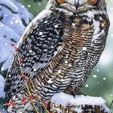 Схема вышивки «Филин»