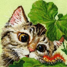 Схема вышивки «Котенок и гусеница»
