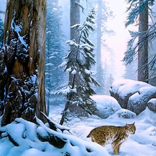 Схема вышивки «В зимнем лесу»