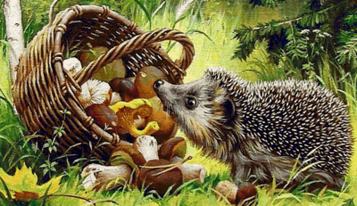 Ежик с грибами - грибы. ежик, природа - предпросмотр