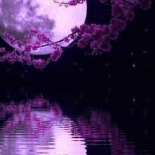 Схема вышивки «Ночь на озере»