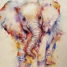 Схема вышивки «aquarela de elefante»