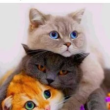 Схема вышивки «котики»