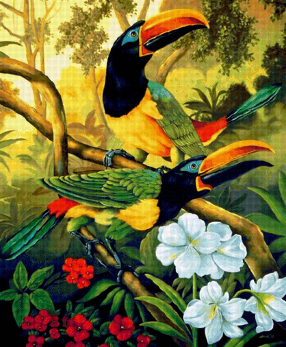 Экзотические птицы - птицы, дикие, природа - предпросмотр