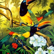 Схема вышивки «Экзотические птицы»