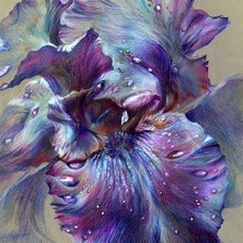 Схема вышивки «№2163655»