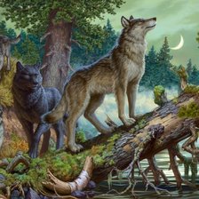 Схема вышивки «Стая»