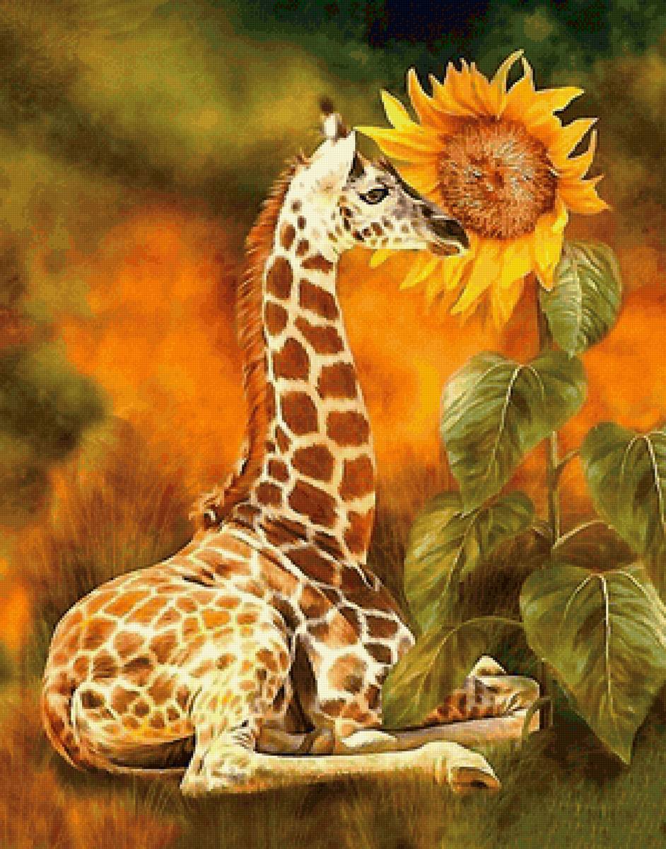 жирафик - подсолнух, жирафик - предпросмотр