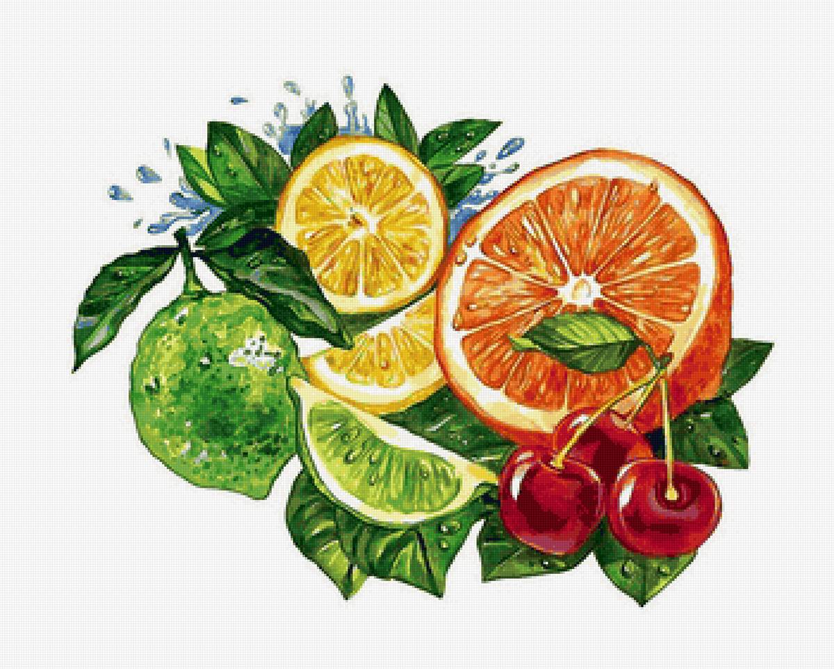 фрукты - фрукты, на кухню - предпросмотр