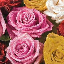 Схема вышивки «Розы»