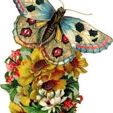 Схема вышивки «Collage»